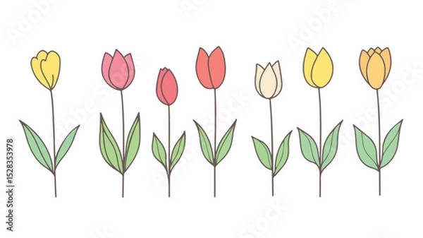 Fototapeta Elegant Tulip Line Icon Vector Illustration for Design Projects