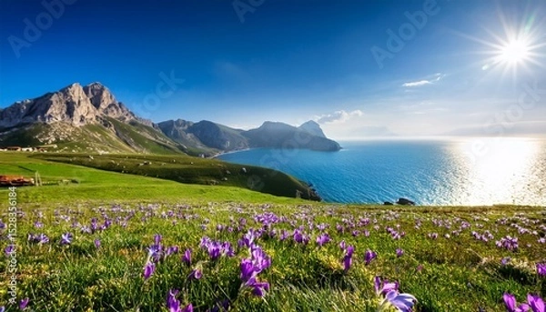 Fototapeta beautiful spring landscape nature of mountain meadow and sea at day