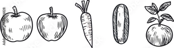 Fototapeta Hand-drawn vector illustration of fruits and vegetables isolated on white background Apple carrot potato beet Engraving sketch style Botanical illustration for labels menus posters web and other