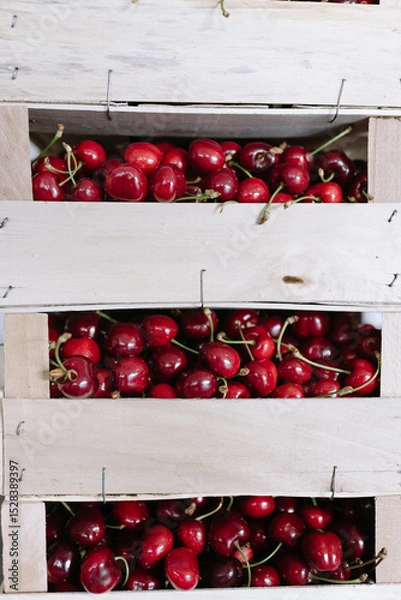 Obraz Freshly harvested cherries in wooden crates displayed at a local market in summer