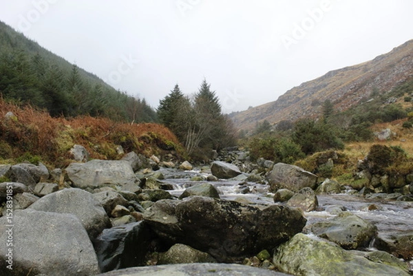 Fototapeta Serene Mountain Stream