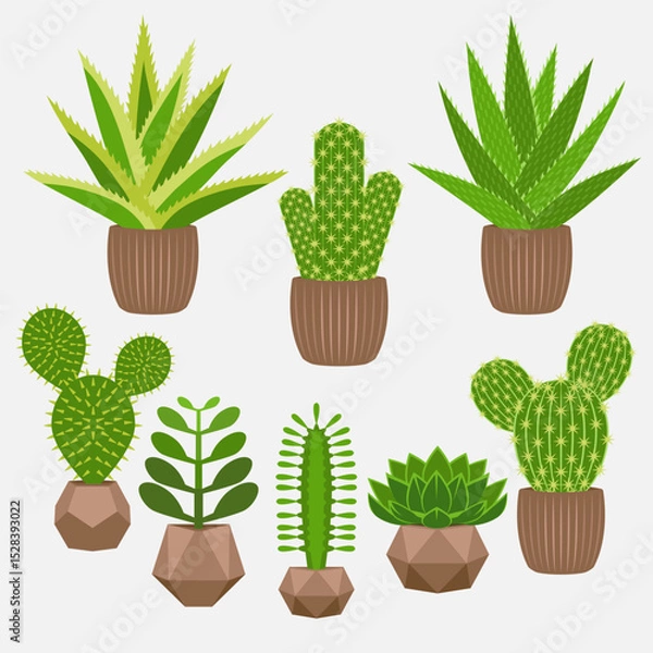Fototapeta Set of home plants of succulents in pots. Vector Illustration