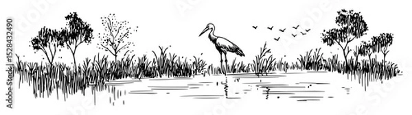 Fototapeta stork in wetland among trees and grass doodle vector sketch