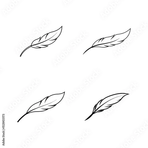 Fototapeta Elegant feather minimal decorative sketch art Line Art Vector illustration