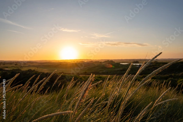 Fototapeta sunset over the field