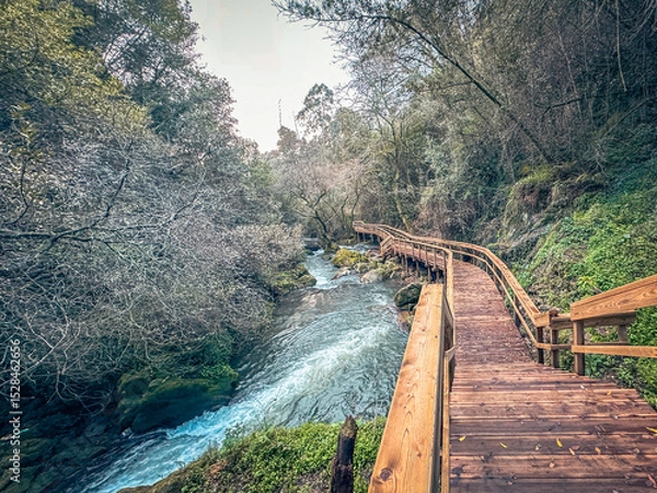 Obraz Wooden walkway winding through lush forest alongside a flowing river, creating a serene and picturesque nature trail in Pindelo, Outeiro, Oliveira de Azemeis, Portugal