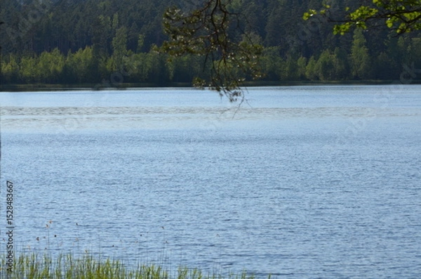 Fototapeta Forest lake under the clouds. On a sunny summer day, small cirrus clouds hang in the light blue sky. Below them is a lake with blue transparent water. A coniferous forest grows on the shore of lake.