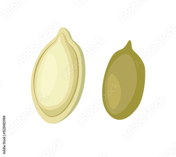 Obraz Vector illustration, pumpkin seeds, isolated on white background. Nuts seeds icon concept. Graphic element for website.