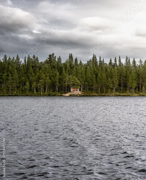Fototapeta Hikers hut (Slogbod) hidden behind a pine tree along the shore of a serene lake in Jämtland Län dense forests, Sweden, creating a peaceful natural retreat with overcast sky