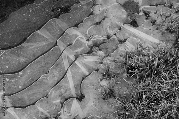 Obraz ice patterns in frozen grass