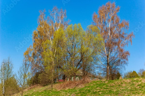 Fototapeta Country house on a hill surrounded by deciduous trees