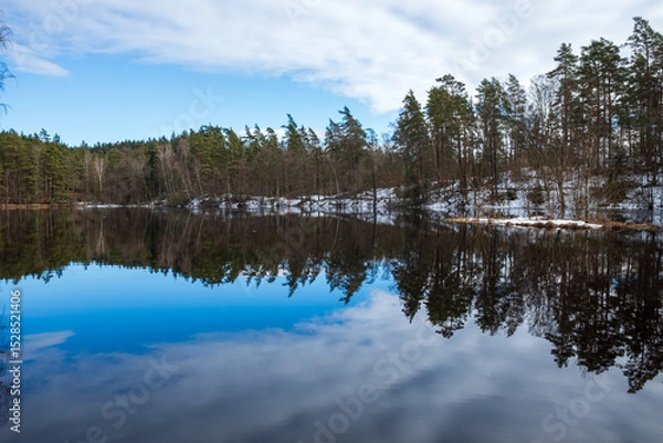 Obraz Barsjon lake with reflections of pine forest and a snowy bank under a blue sky in Vedema, Haessleholm, Sweden