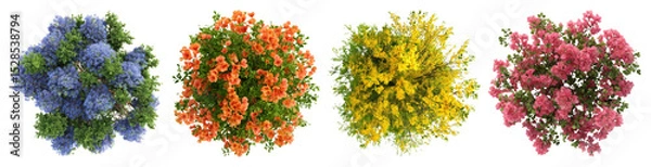 Fototapeta PNG Vibrant colorful floral arrangements, element set on transparent background