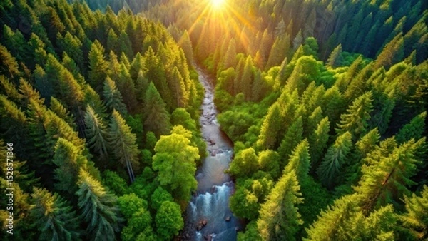 Fototapeta Golden Hour Serenity A River Flows Through a Lush Evergreen Forest Bathed in Sunlight