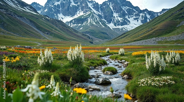 Fototapeta A stream in a flowery mountain valley. White lupines. AI generation.