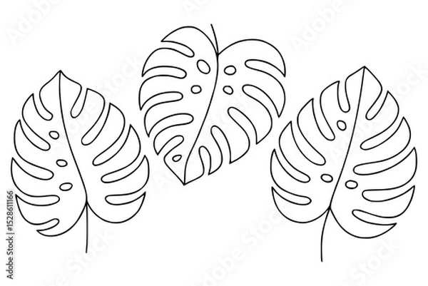 Obraz Hand-drawn tropical monstera leaves with black contour isolated vector.