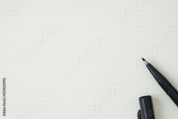 Fototapeta Top view, Close-up of Black Felt-tip Pen on Graph Paper, Copy Space for Text, Flat Lay Concept.
