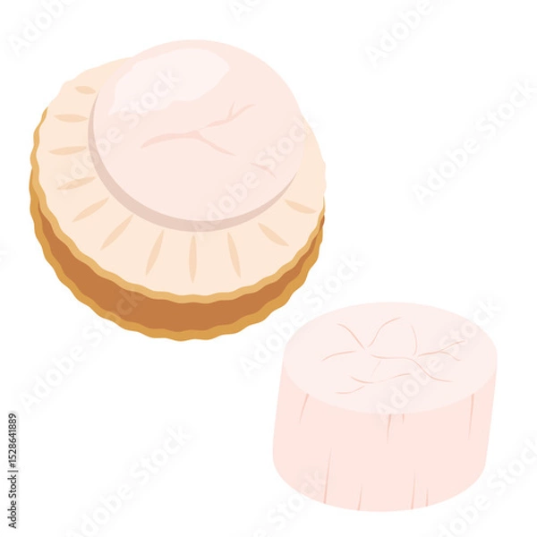 Obraz 帆立貝のむき身と貝柱のイラスト