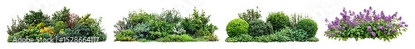 Fototapeta PNG Lush green garden elements, element set on transparent background