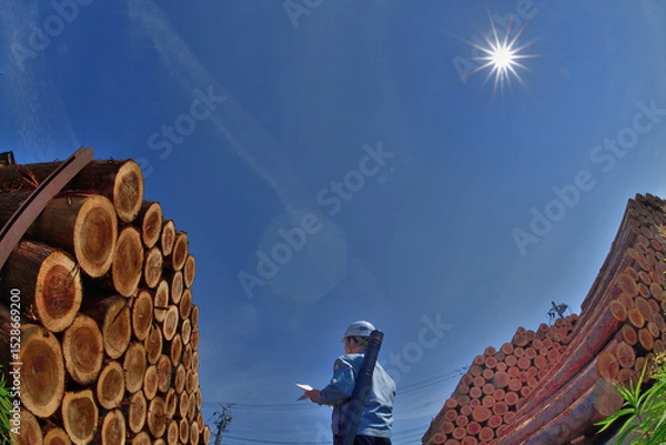 Obraz 木材資源を管理する。