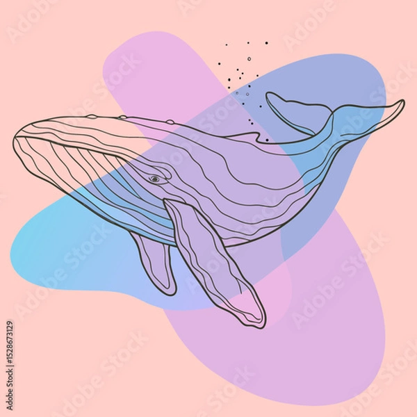 Fototapeta A line art illustration of a whale with pastel color fills, ideal for marine biology blogs, ocean conservation websites, or minimalist design projects.