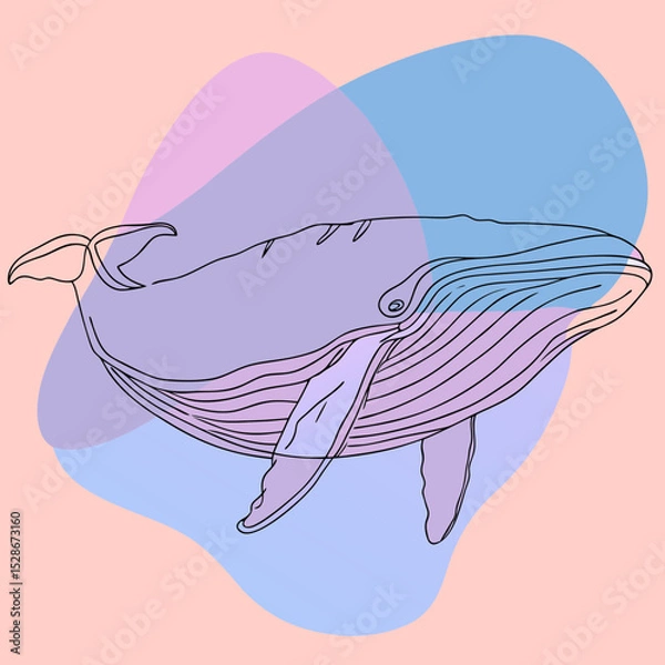 Fototapeta A line art illustration of a whale with pastel color fills, ideal for marine biology blogs, ocean conservation websites, or minimalist design projects.