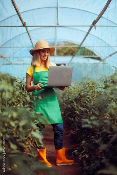 Fototapeta Modern Farmer with Laptop in a Tomato Greenhouse. Person adapted to new technologies applying them in agriculture 
