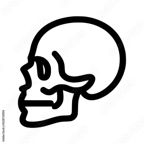Obraz A simple line drawing of a human skull in profile view.