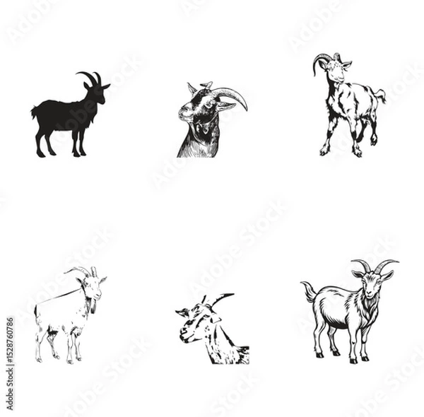 Obraz Group goat vector design