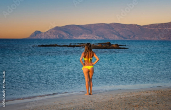 Obraz the beautiful girl in bikini watches the sunset on the sea