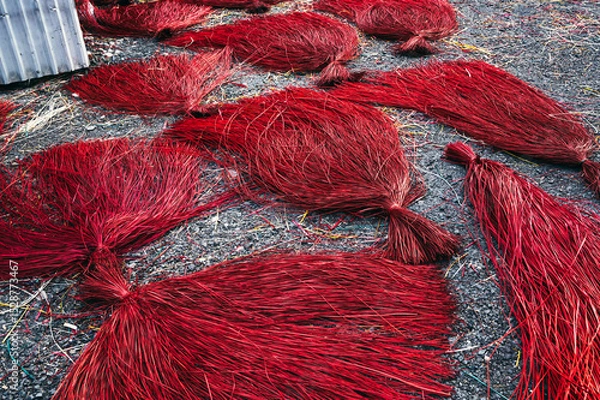 Fototapeta Dyed red straw are dried at village handicraft factory for the production of traditional Vietnamese mats in Vietnam