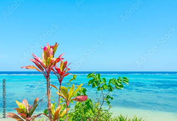 Fototapeta 千年木と沖縄の海