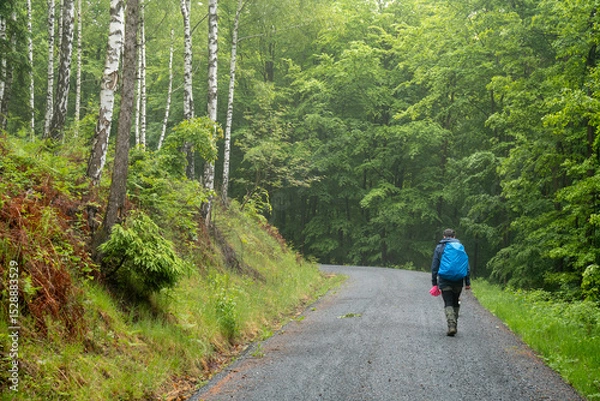 Fototapeta Wanderung auf dem Schifferweg zum Großen Zschirnstein in der Sächsischen Schweiz