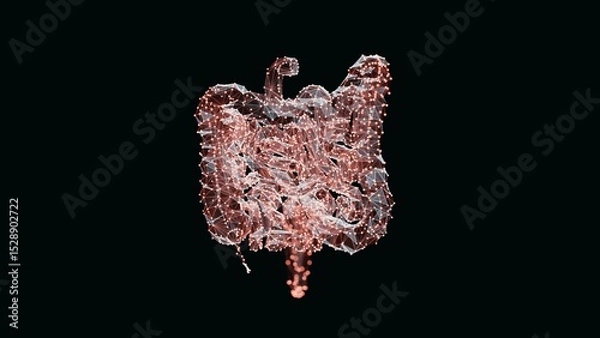 Obraz 3d render of a vibrant, low-poly intestine over dark background. Intestine wireframe made of light points. 3d illustration