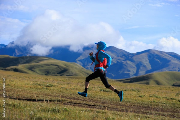 Fototapeta Woman trail runner running at high altitude grassland mountain top road