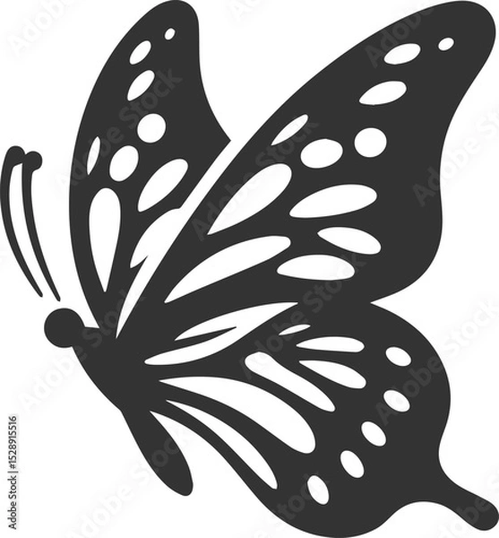 Fototapeta Butterfly silhouette insect design vector illustration