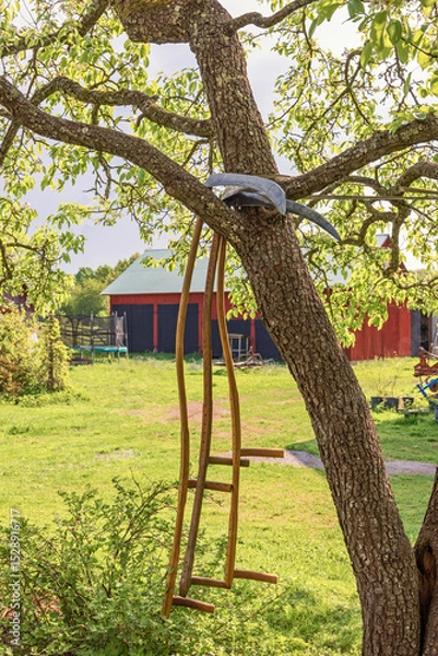 Obraz Old Scythe hanging on a tree branch on a farmyard