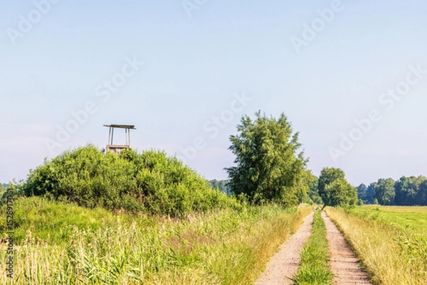 Obraz Dirt road by a meadow with a hunting tower in the countryside