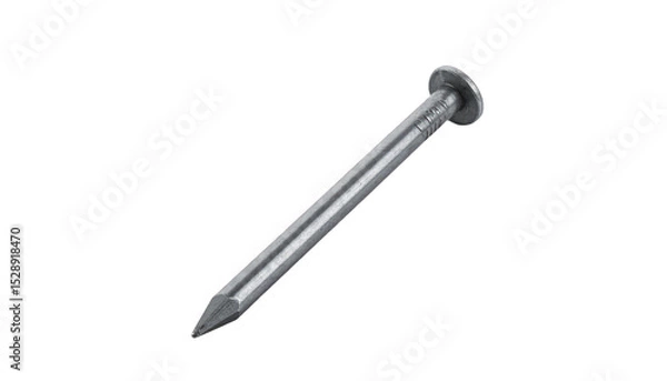Obraz Single metal nail close up
