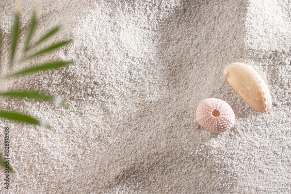 Fototapeta Seashells on Soft Beach Sand Minimal Summer Nature
Background.