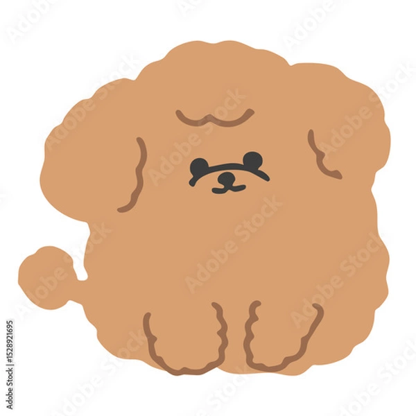Obraz ふわふわのかわいいトイプードルのイラスト