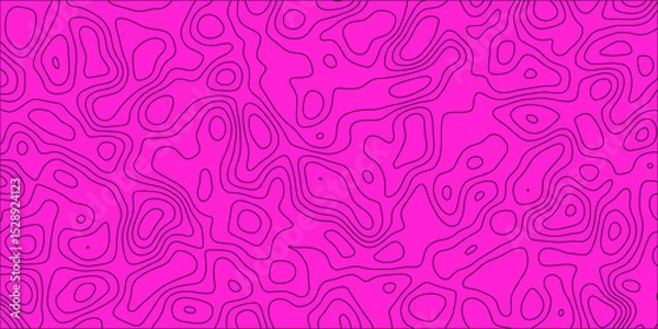 Obraz Artistic contour map-inspired decorative background

