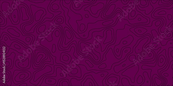 Obraz Artistic contour map-inspired decorative background

