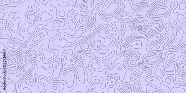 Obraz Freeform map-inspired background with wavy patterns

