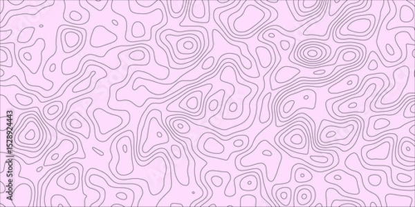 Obraz Freeform map-inspired background with wavy patterns

