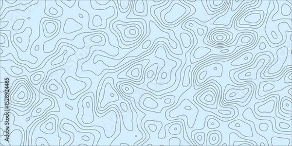 Obraz Complex contour design with maze-like layout

