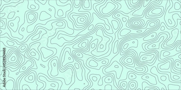 Obraz Complex contour design with maze-like layout

