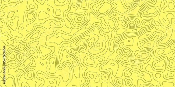 Obraz Conceptual topography design with artistic motion

