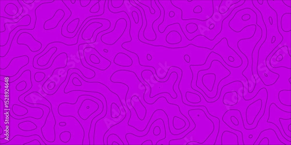 Obraz Abstract mapping lines in a modern art pattern

