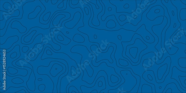 Obraz Abstract mapping lines in a modern art pattern

